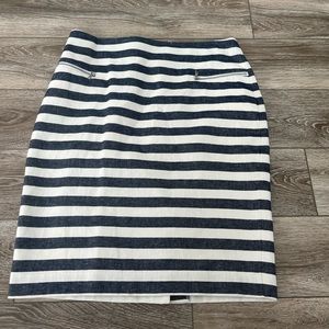 Womens Ann Taylor Skirt